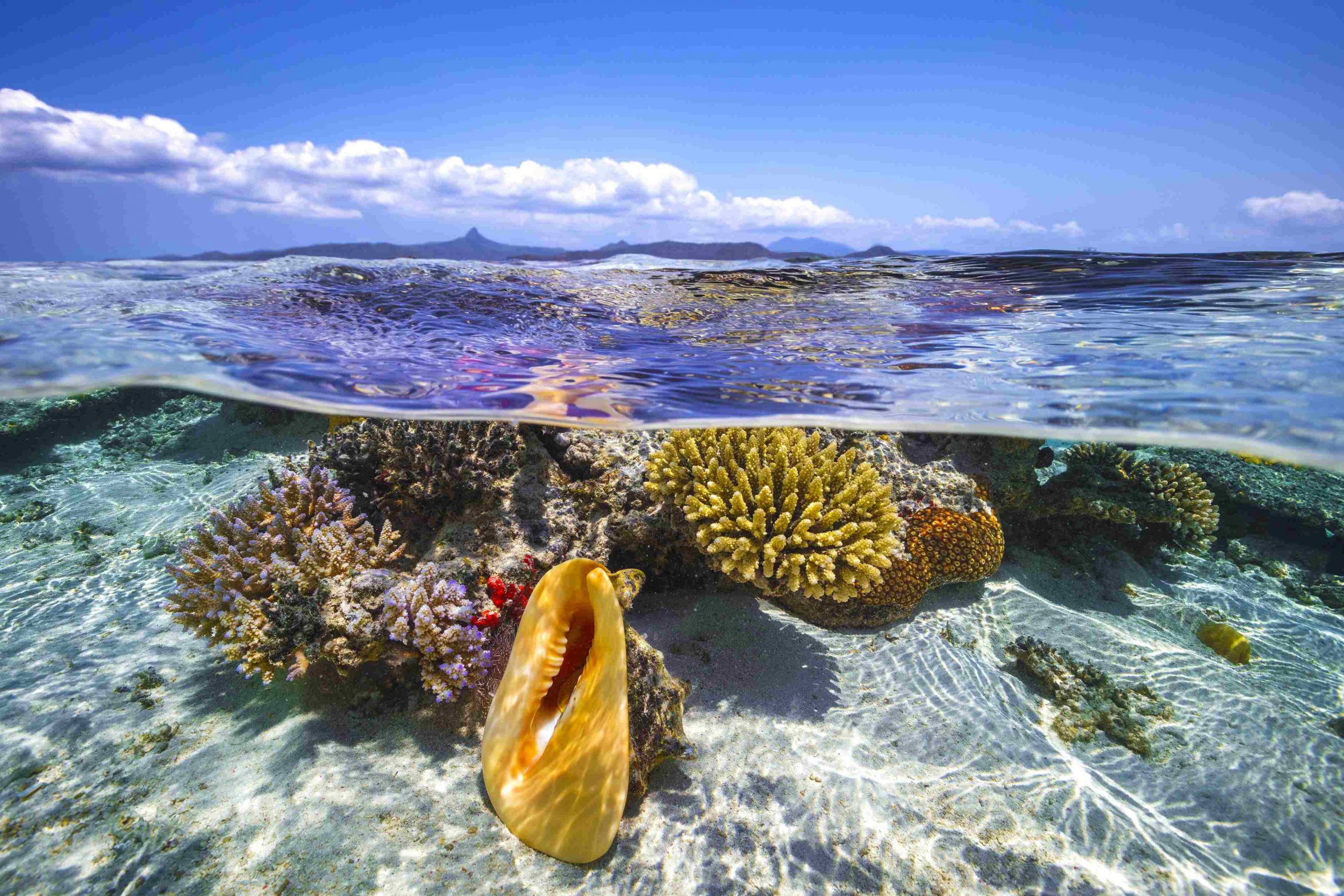 Plongée sous marine lagon maoré