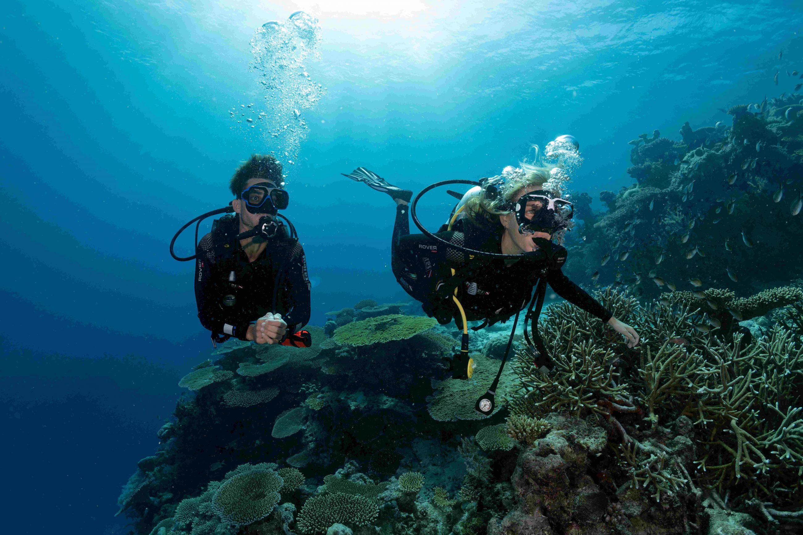 plongeurs certifiés